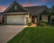 858 Knollwood Ct, Bluffton image