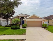 13714 Trinity Leaf Place, Riverview image