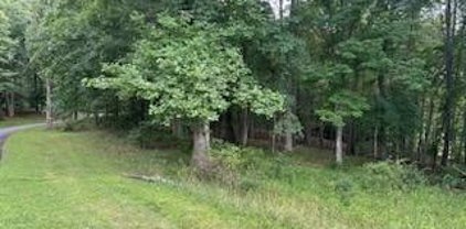 Lot #81 Prime Circle, Piney Creek