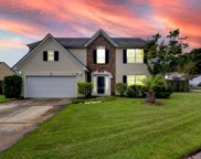 318 Dunning Road, Summerville image