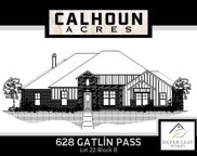 628 Gatlin  Crossing, Azle image