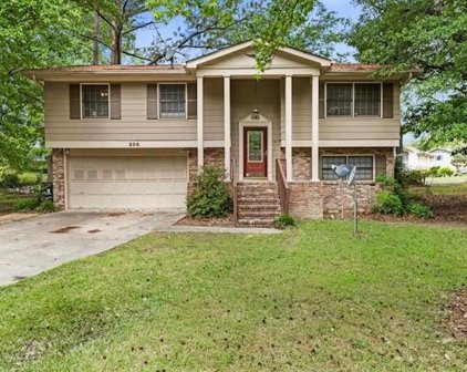 205 Basswood Court, College Park