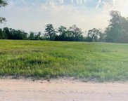 TBD TDB Denson Allen Tract 4, Coldspring image
