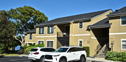 207 W Lake Faith Drive Unit 226, Maitland
