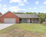 1111 Mercer Drive, Maryville image