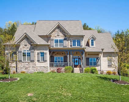 9604 Stonebluff Dr, Brentwood