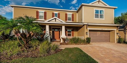 3667 Arbor Chase Drive, Palm Harbor