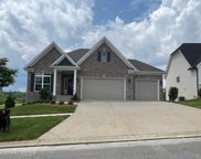 3208 Catalpa Farms Dr, Louisville image