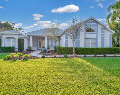 14048 Bramble Bush Court, Orlando
