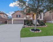 25514 Green Terrace, San Antonio image