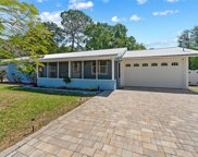 3100 Mildred Drive, Palm Harbor image