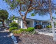 25 Allamanda, Key Haven image