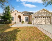 11806 Summer Springs Drive, Riverview image