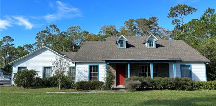 13808 Lacebark Pine Road, Orlando