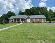 6791 Warrior River Road, Bessemer image