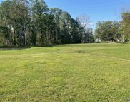 45383 Hidden Meadow Trail, St Amant image