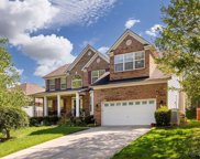 1012 Anduin Falls  Drive, Charlotte image