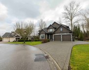 9110 163a Street, Surrey image
