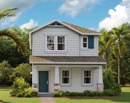 4142 Pino Street, Apopka
