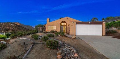 8202 Hillandale Dr, Del Cerro