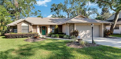 4180 Leafy Glade Place, Casselberry