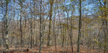 Lot 1 Timber Crest Drive, Roan Mountain