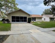 1657 Glengarry Drive, Palm Harbor image