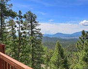 31228 Kings Valley, Conifer image