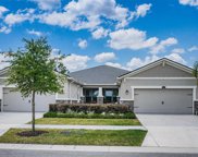11511 Cambium Crown Drive, Riverview image