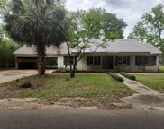 826 Bateman Ave, Slocomb image