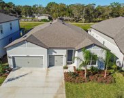 12095 Orchid Ash Street, Riverview image