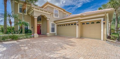 2230 Cypress Hollow Court, Safety Harbor
