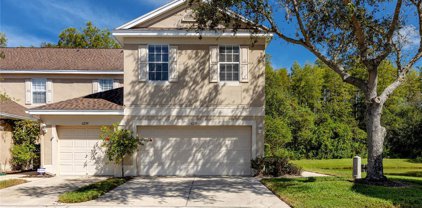 6237 Duck Key Court, Tampa