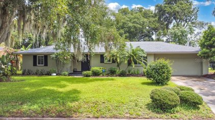 1229 Lake Margaret Drive, Orlando