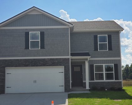 2824 Valley Farms Drive, Christiana