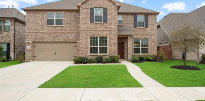 23202 Mulberry Thicket Trail, Katy