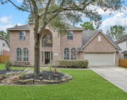 98 Cezanne Woods Drive, The Woodlands image