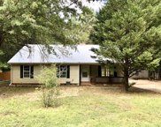 361 Tussahaw Point Drive, Jackson image