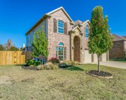 1112 Cactus Spine  Drive, Fort Worth image