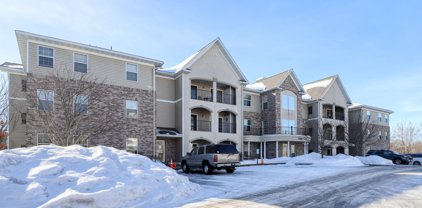 15550 Linnet Street NW Unit #1-111, Andover