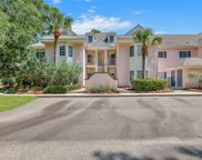 62 Spindle Lane Unit 62, Hilton Head Island image