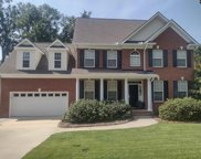 3 Hawks Ridge Court, Chapin image