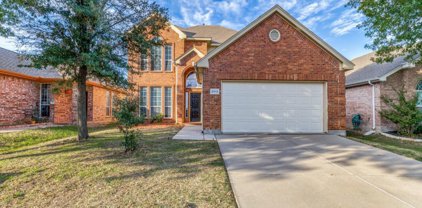 2912 Spotted Owl  Drive, Fort Worth