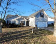 163 Pleasant Grove  Lane, Mooresville image