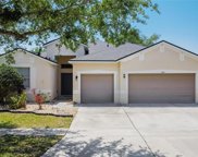 11412 Bridge Pine Drive, Riverview image