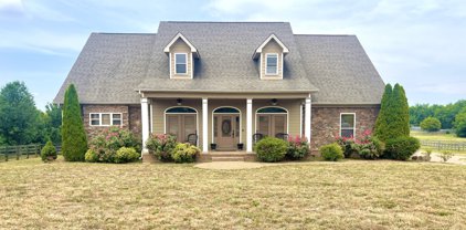 2203 Twin Peaks Ct, Spring Hill