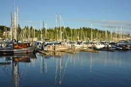 swantown marina
