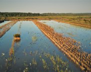 3465 Sc-174, Edisto Island image