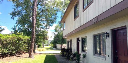 12167 Pepperdine Place, Orlando