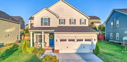 2096 Morton Dr, Spring Hill